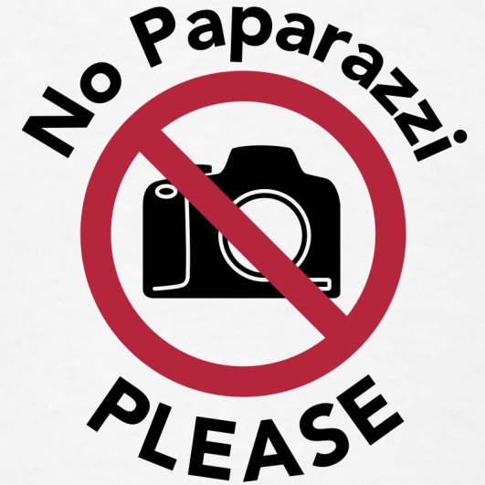 no-paparazzi-please-men-s-t-shirt